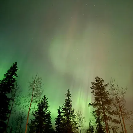 Honkamaja, Aavasaksa, Lappi, Lapland *