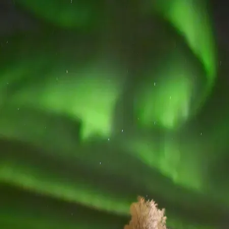 Honkamaja, Aavasaksa, Lappi, Lapland Chalé